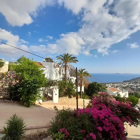 Marquis Blue לינה וארוחת בוקר 4*