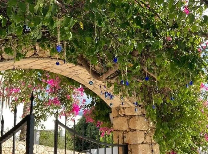 Bed & Breakfast Marquis Blue 4*